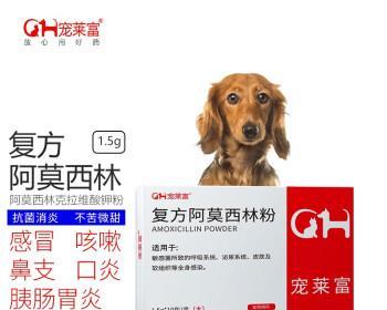 狗狗感冒鼻涕吃什么药好？宠物医生推荐的治疗方法是什么？