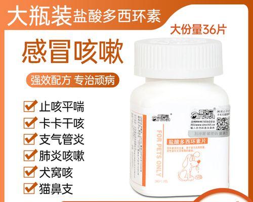 狗狗感冒干呕吃什么药好？如何正确选择宠物药物？