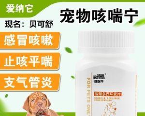 狗狗感冒干呕吃什么药好？如何正确选择宠物药物？