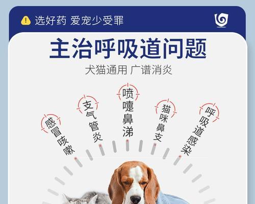 狗狗感冒了怎么办？可以给它喝哪些药物？