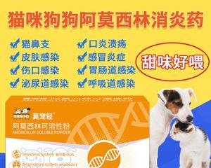 狗狗感冒了怎么办？可以给它喝哪些药物？