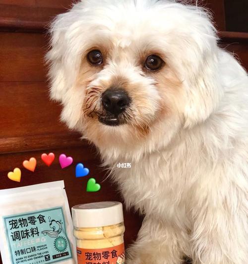 狗狗高烧时应该喂什么药？如何正确处理宠物发烧？
