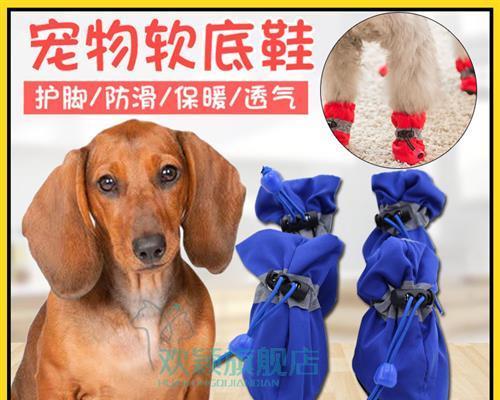狗狗脚软站不起来怎么办？可能的原因和紧急处理方法是什么？