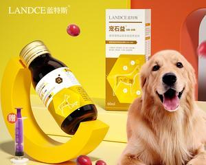 狗狗结石尿频如何处理？有效缓解方法有哪些？