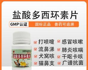 狗狗咳嗽吃什么药好得快？有效缓解宠物咳嗽的方法是什么？
