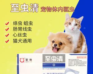 狗狗咳嗽吃什么药好得快？有效缓解宠物咳嗽的方法是什么？