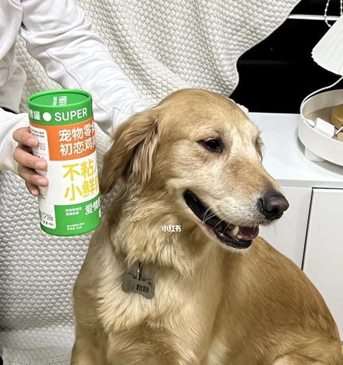 狗狗瘦弱食欲不振怎么办？如何提高狗狗的食欲？