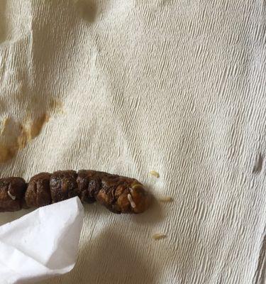 狗狗瘦弱时吃打虫药会有副作用吗？