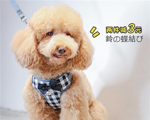 狗狗胃炎怎么办？有效治疗方法有哪些？