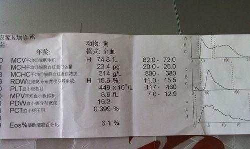 狗狗血常规检查是否需要每天进行？