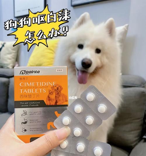 狗狗用药剂量指南：如何正确计算宠物药物用量？