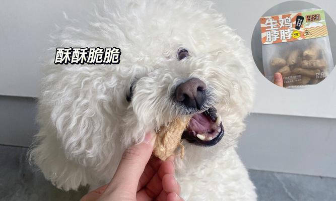 狗狗用什么方法去牙结石？有效去除牙结石的技巧有哪些？