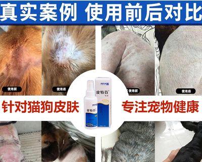 狗狗真菌皮癣用什么药膏？如何正确选择和使用？