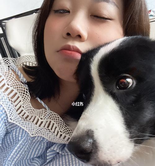 狗狗走失一个月后如何找到主人？寻回宠物的秘诀是什么？