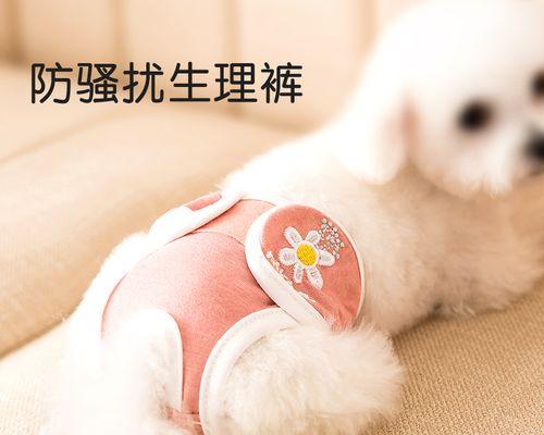 狗狗月经期间异味大怎么办？可能的原因有哪些？