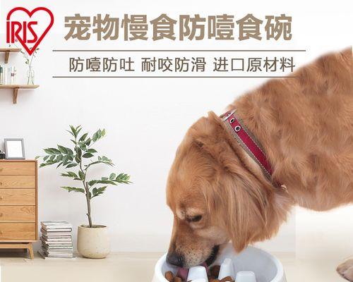 狗粮放碗里它会一直吃吗？如何控制狗狗的食量？