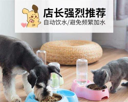 狗粮放碗里它会一直吃吗？如何控制狗狗的食量？