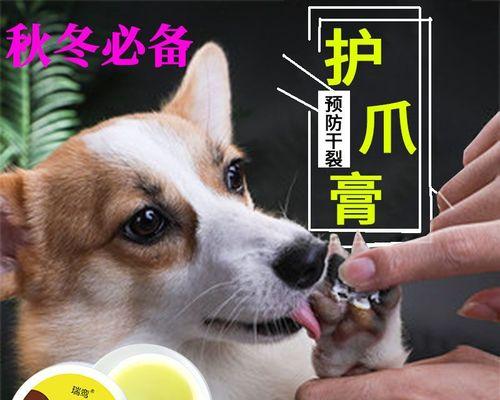 狗爪太长会发生什么意思？如何判断和处理？
