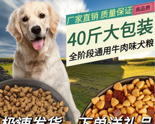哈士奇大狗狗粮喂养方法？喂食量和频率如何掌握？