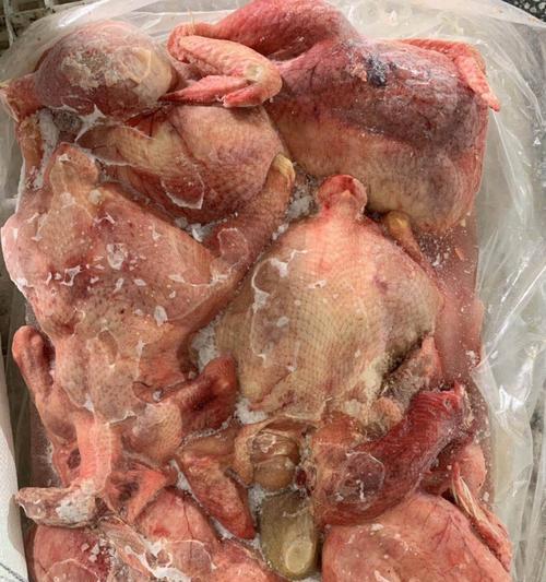 鸡架喂狗需要放调料吗？正确喂食方法是什么？