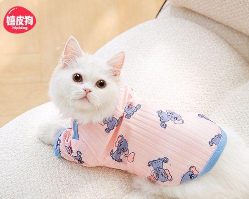 猫生化12项检查包括哪些内容？结果异常意味着什么？