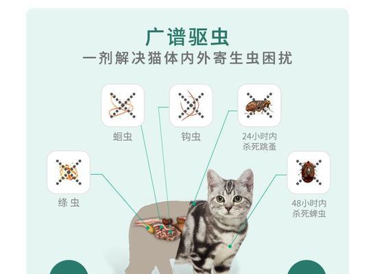 猫咪甲亢治疗药物有哪些？如何选择合适的药物？