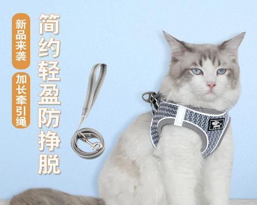猫咪肩带式牵引绳怎么带？正确使用方法是什么？