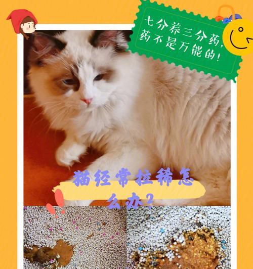 猫咪拉肚子怎么办？能吃什么药好？