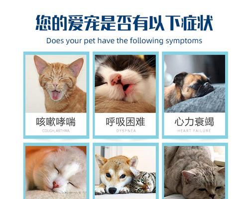 猫咪气喘咳嗽吃什么药好？如何正确选择治疗药物？