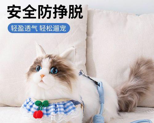 猫咪舔狗狗是什么意思？这种行为背后隐藏着什么含义？