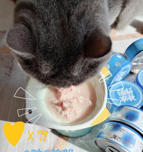 猫咪舔了双氧水会怎么样？如何处理和预防？
