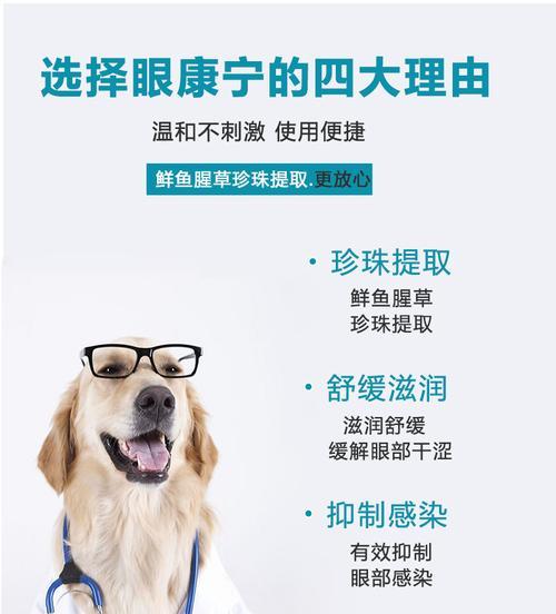 猫咪洗眼液怎么用？使用过程中常见问题有哪些？
