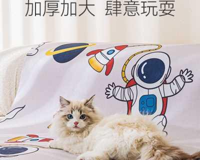 棉被被狗狗尿了怎么消毒？有效消毒方法有哪些？
