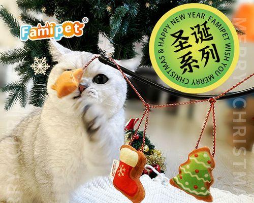 三个多月的猫咬人怎么办？如何纠正小猫的攻击性行为？