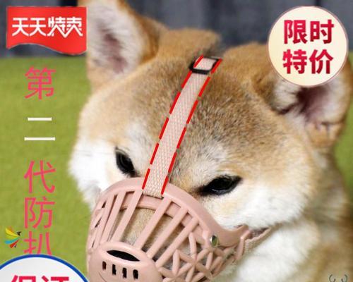 泰迪狗狗鼻炎吃什么药好？如何正确选择治疗药物？