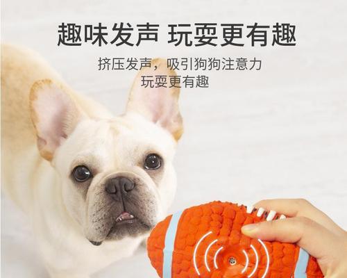 泰迪狗狗叼球玩游戏就吐？如何解决这一问题？