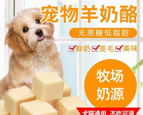 泰迪狗适合食用哪些品牌的酸奶？食用酸奶有哪些注意事项？