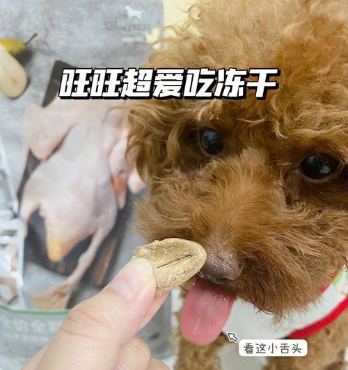 泰迪狗适合食用哪些品牌的酸奶？食用酸奶有哪些注意事项？