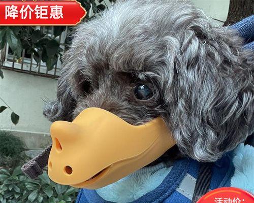狗的嘴巴为什么都是黑的？揭秘狗狗嘴部色素沉着的原因