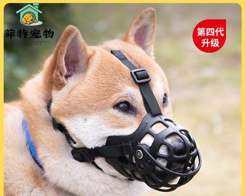 狗的嘴巴为什么都是黑的？揭秘狗狗嘴部色素沉着的原因