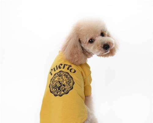 小狗10号衣服的尺码标准是什么？如何确定合适的尺寸？