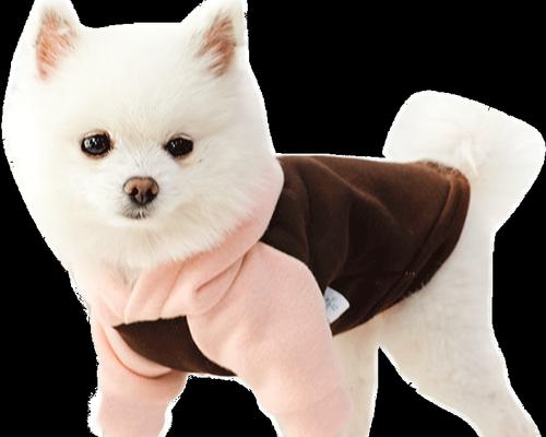 小狗10号衣服的尺码标准是什么？如何确定合适的尺寸？