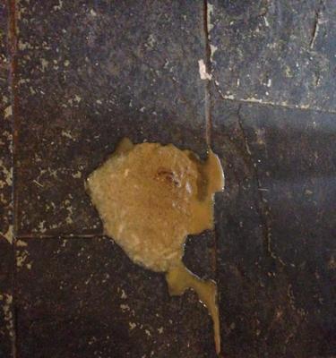 小狗不吃饭拉稀怎么办啊？如何快速解决宠物的肠胃问题？