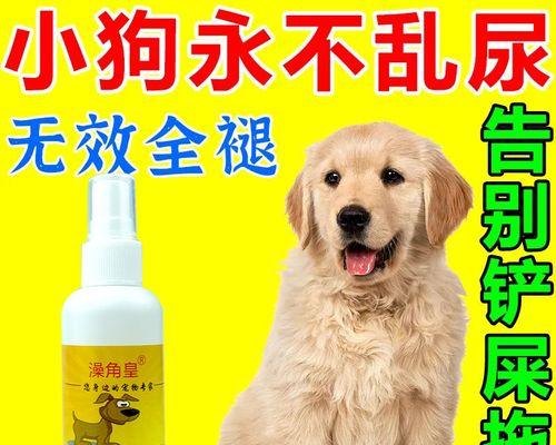 小狗不能大便怎么回事啊？常见原因及解决方法是什么？