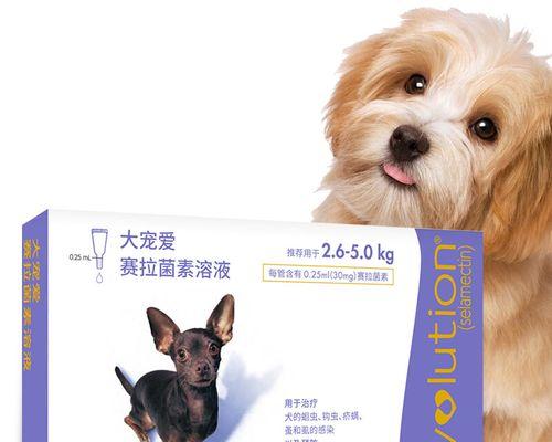 小狗出生后什么时候驱虫？驱虫的最佳时间是什么时候？