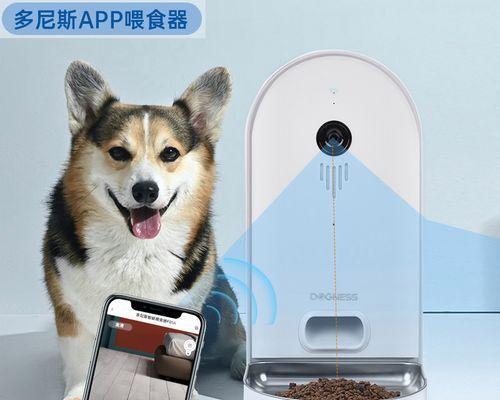 小狗生产几个小时算正常？遇到延长生产怎么办？