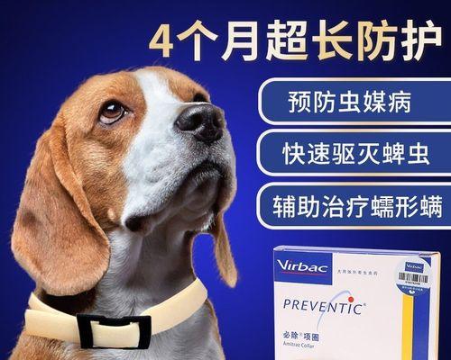 小狗生产几个小时算正常？遇到延长生产怎么办？
