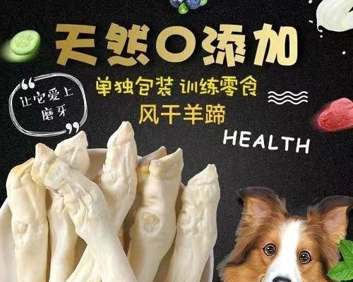 小狗什么时候需要磨牙棒？如何选择合适的磨牙棒？