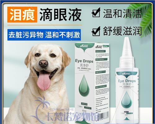 小狗眼屎多是什么原因？如何有效处理？