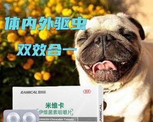 小狗用什么药驱虫比较好？安全有效的驱虫药物推荐？
